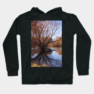 Looking Glass Hoodie